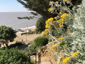 The Seafront Gardens